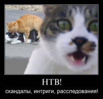 post-7488-0-36617700-1387534885_thumb.png