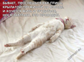 post-7488-0-49710600-1387903903_thumb.png