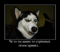 post-7488-0-69090800-1387904107_thumb.png