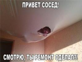 post-9541-0-31187200-1450284489_thumb.jpg