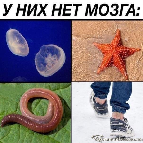 14937846.jpg.5662091f5f34c1bbdd902ef9994f421b.jpg
