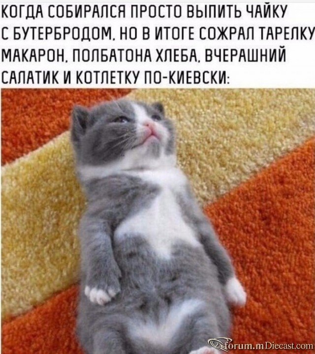 14959523.jpg.4ab732940b72f7ce19094f6c1c381f6a.jpg