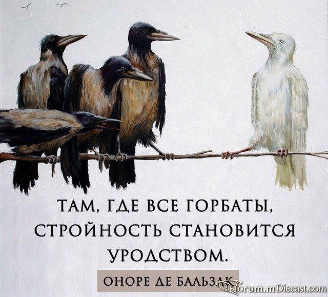 14962846.jpg.ccff84ad1c674e3347bc9b23c341a86d.jpg