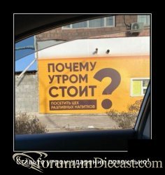 1605018291_12.thumb.jpg.faea39d4d34e0524cb1132540eb639ef.jpg