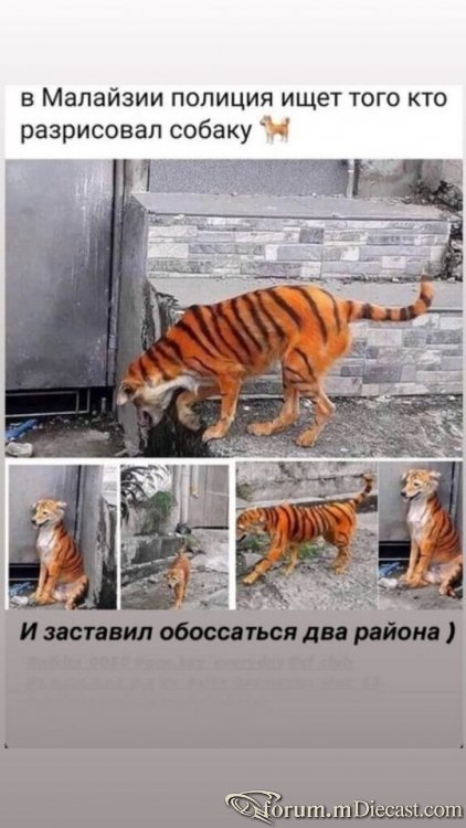 74bc0cd5b3d3.thumb.jpg.5bea4950a3d735df6507dd926960206e.jpg