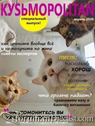 котэ-журнал-который-вы-все-ждали-6253704.jpeg