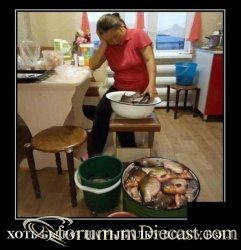 14983500.thumb.jpg.b90b614c59c7f7ebd4e369e9754cbd02.jpg
