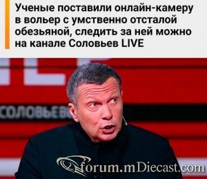 14990192.thumb.jpg.62a1fcaa49918a3abfdd7b0788e6e60e.jpg