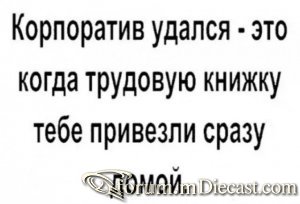 15048654.thumb.jpg.92219c4a0163ffc6556adc02c7ef6b26.jpg