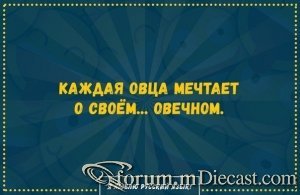 15054352.thumb.jpg.a7d590befea495f375e3369b58c8143a.jpg
