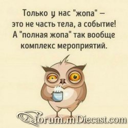15059633.thumb.jpg.687a9bd2f1c41df17bc9bcb6b263970c.jpg
