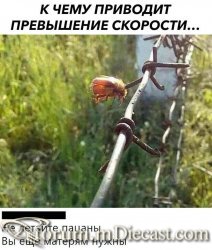 1608385220133818522.thumb.jpg.7555d52034f57b605eb67769f48ca511.jpg