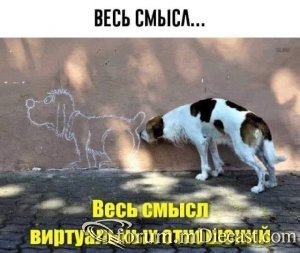 488916f56d69.thumb.jpg.3686c2404f58017140071e0ddb728ef2.jpg
