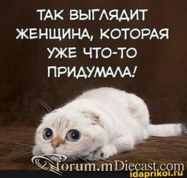 5921194_bb9db0560b392a695c7cf875d11ee4a6.thumb.jpg.bd7e3ce45a992d9ec7c6193c91961e45.jpg