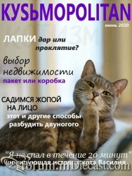 котэ-журнал-который-вы-все-ждали-6253699.jpeg