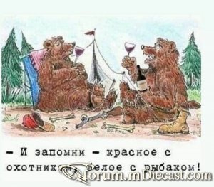 98236ae0b2c1.thumb.jpg.5908b986533c99b2b12a32af8e5a8999.jpg