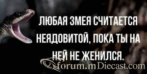 Em9jRzhW8AIu62J.thumb.jpg.11a23ed4dfb46659b9c6b7a11fd146c4.jpg