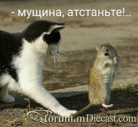 EoSqOrMXUAIY7hK.thumb.jpg.52770ac3bdd2deaa3c8129b467943741.jpg