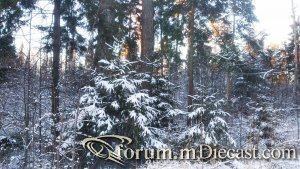 IMG_20201209_161339.thumb.jpg.0c2384137b56c27e9cef8dceccf0079e.jpg