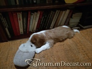 IMG_20201223_183034.jpg
