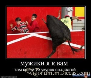 f08ec110c670003b255d610c5869725b.thumb.jpg.479a36278f561b573b2db1c963b9abb3.jpg