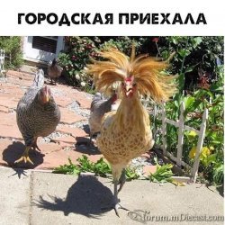 15.jpg.20640c78ff9eb534b2279406b07d3399.thumb.jpg.ccb6d44c9d6bb60415aea0d855f2ac5d.jpg