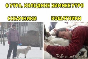 15099069.thumb.jpg.32abd88fc56fff300303449600f6efc6.jpg