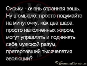 15099161.thumb.jpg.bb29bb562a652d9bcdfdf018b5d2a176.jpg