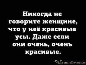 15119310.thumb.jpg.44761ad063eb7a559fe20f15b1fcdbb3.jpg