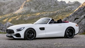 2021040045_Mercedes-BenzAMGGTroadster2017.thumb.jpg.bb497760d142841c37db871cd37df0a7.jpg