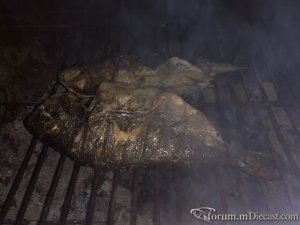 2793F97E-FC78-4C60-9A89-5335CFBB1B05.thumb.jpeg.dd61b863c04dc1e0ac9d35c165cb91b9.jpeg