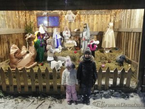 334347193_4500(27).thumb.jpg.005308378a68a1329f4b767198c9ce0d.jpg