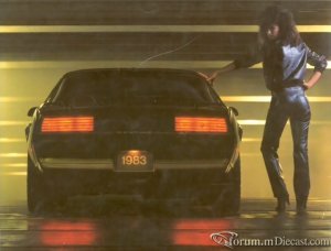 1983 Pontiac Firebird With The Girl.jpg