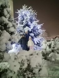 6412830_4500(33).thumb.jpg.e84800fd81c063f2029bbe5fb2851de1.jpg
