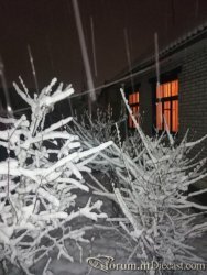7459281_4500(23).thumb.jpg.09e10034bf3cf74e27d72e8c632392bb.jpg