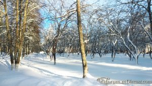 IMG_20210118_114534.thumb.jpg.eb02ee1aafcced3aef85ddce1f3cd6ff.jpg