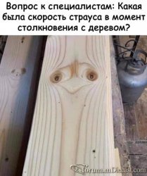 ead0bad381b78c1819a36401f8e0cfe3.thumb.jpg.eb93499781966fbeb79d67d8bdf2306f.jpg