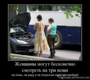 15258564.thumb.jpg.c384aed648d37e979d509bef07838e99.jpg