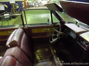 SAM_0739 (2).JPG