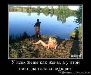 600x720-c776671c875b2c432272a492a2e53b51_94062.thumb.jpg.c4bf046250723abc491c08c5a4c026a6.jpg