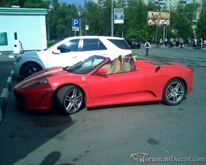 23183781YCa.jpg