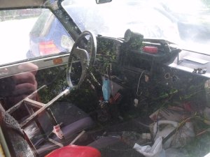 DSCF2940.JPG