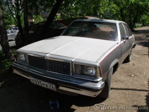 DSCF7686.JPG
