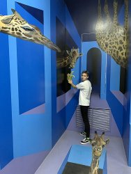 1419401065_IMG_6812.thumb.jpg.7e48946555748c4f8ff8ca17dbb8e4cd.jpg