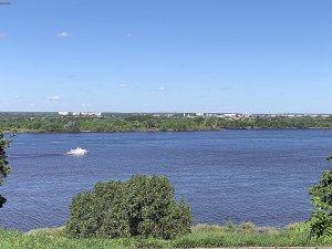 444372268_IMG_6817.thumb.jpg.209ade153ad2fd7962aebdf1e5a929a9.jpg