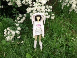 DSCF2959.JPG