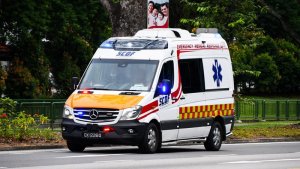 Masterpiece-Collectibles-Mercedes-316CDI-SPRINTER-SCDF-2017_3.jpg