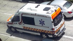 Masterpiece-Collectibles-Mercedes-316CDI-SPRINTER-SCDF-2017_4.jpg