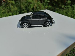 125583831_IM_2350(18).thumb.jpg.664cba3a1d777b5e42376f84f5d23604.jpg