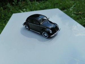 1458653327_IM_2350(15).thumb.jpg.a6c12eea36ddf17ed2f2faf91e19fd7e.jpg